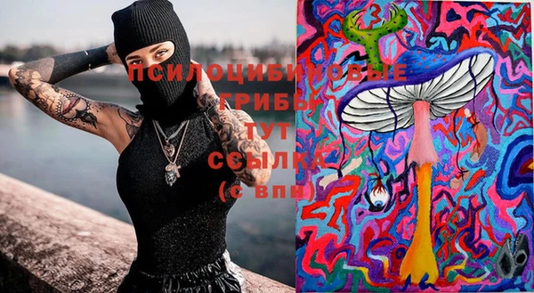 герыч Алзамай