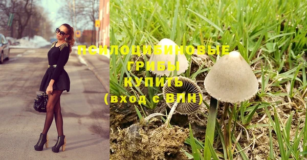 амфетамин Алексеевка