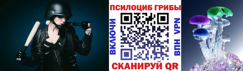 Псилоцибиновые грибы мицелий  Калининец 